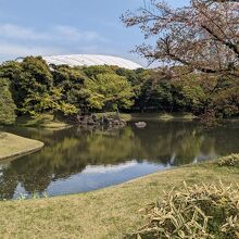 水と木々が見事かコントラスト