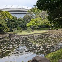 東京ドームも臨める