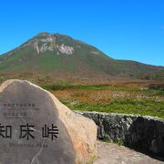 お天気良ければ国後島が見えるヽ(^。^)ノ