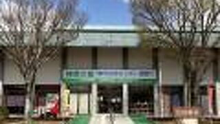 巨大なショップ