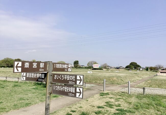 菜の花と列車のコラボスポットでもある