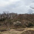 広い敷地内に、水田、畑や森がそのまま残された緑豊かな公園です。