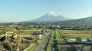 富士山をきれいに見ることができます