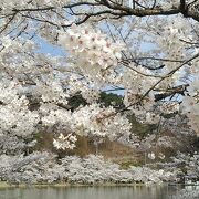 臥竜公園 クチコミ・アクセス・営業時間｜須坂【フォートラベル】