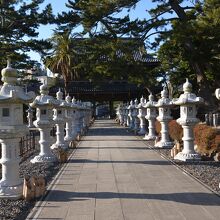 誕生寺参道の灯篭は長く続いています。