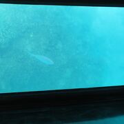竹富島唯一の港　グラスボートの発着場