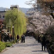 朝は比較的空いています