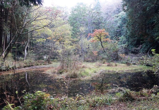 池峯もみじの郷