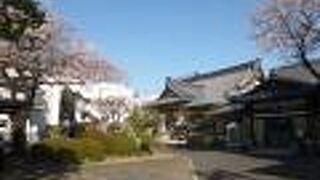 桜の花が境内をより華やかにしていました