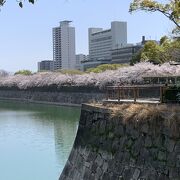 波乱万丈のお城だったと感じます。桜の季節に初めて訪れました。