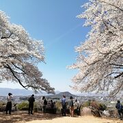 明日香村が一望