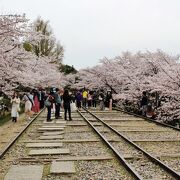 船を運び斜面を登る鉄路を引いた明治の遺産