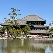 鏡池の向こうに大仏殿が見えます