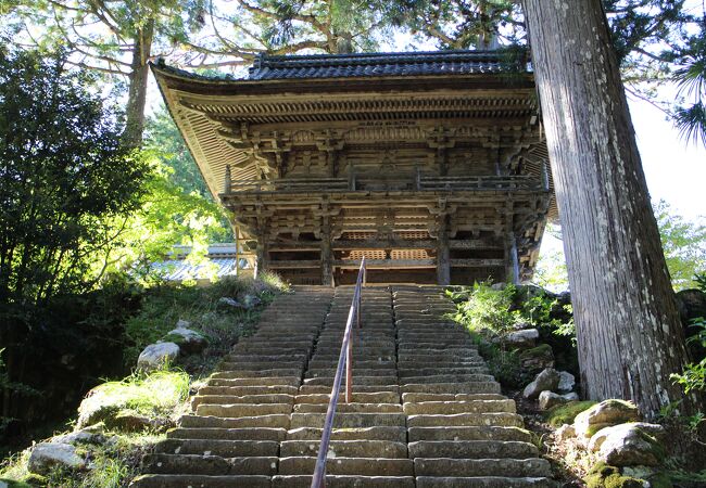 国宝の本堂と三重塔