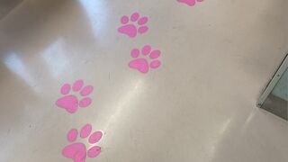 床には猫の足跡、吊革も招き猫