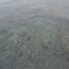 活き活きウオポートの前の海は澄んでいました。