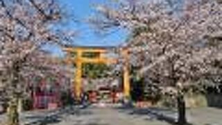 平野神社はやはり桜の時期に