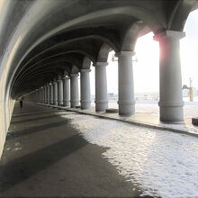 ドーム内からは圧巻です！