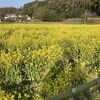 普賢寺ふれあいの駅