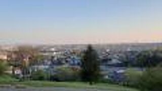 ハイキング気分が味わえる公園 （東京都立桜ヶ丘公園） 