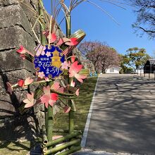 桜まつり開催中