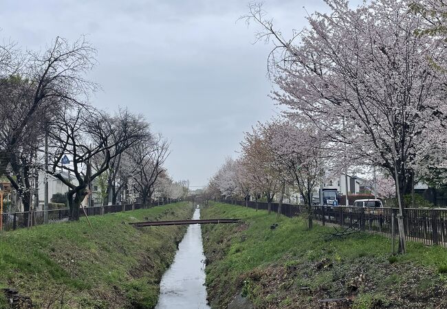 玉川上水