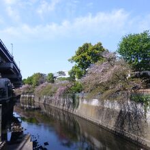 地上にあがると目の前が神田川