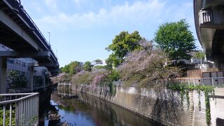 神田川の目の前に