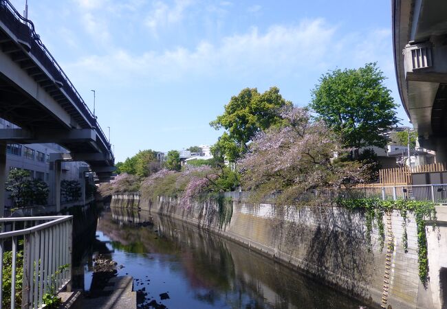 神田川の目の前に