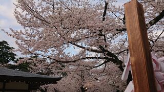 お参りの後奇跡が起きた