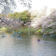 ３月２８日夕方１６時半の時点で１００人の行列できていた