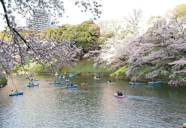 ３月２８日夕方１６時半の時点で１００人の行列できていた