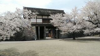 4月3日から3泊4日で長野県の桜巡り8件目(3日目)