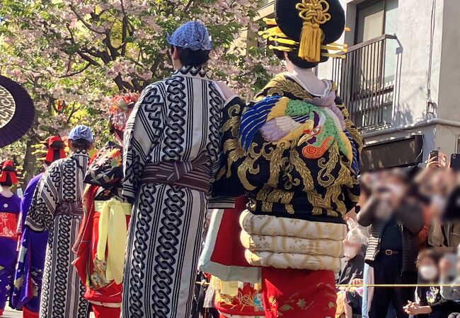 ( ｀・∀・p[一葉桜まつり 江戸吉原 おいらん道中]が4年ぶりに開催されましたー！。+゜:.