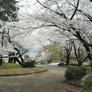 4月3日から3泊4日で長野県の桜巡り9件目(3日目)