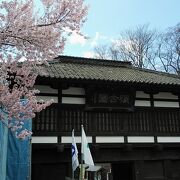 4月3日から3泊4日で長野県の桜巡り10件目(最終日)