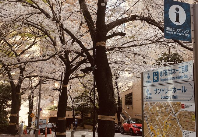 桜の名所