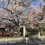 夜にはライトアップもされている木屋町通