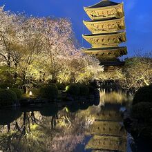 ライトアップと池に映る五重塔