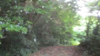 高台でまで続く古道