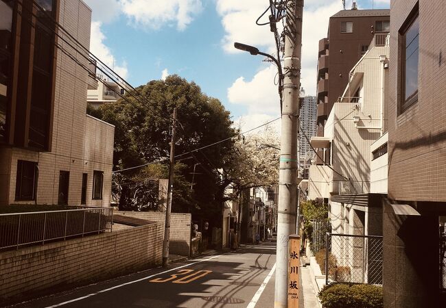 氷川神社横