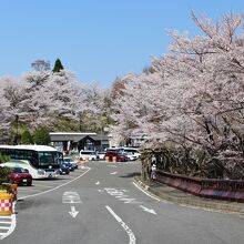 奥琵琶湖パークウェイつづら尾崎展望台