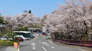 奥琵琶湖パークウェイつづら尾崎展望台