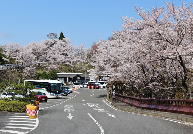 奥琵琶湖パークウェイつづら尾崎展望台