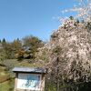 周辺の歴史ウォーキングも