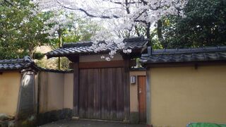 綺麗に桜が咲いているお屋敷もありました