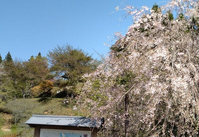 歴史の里田峯城