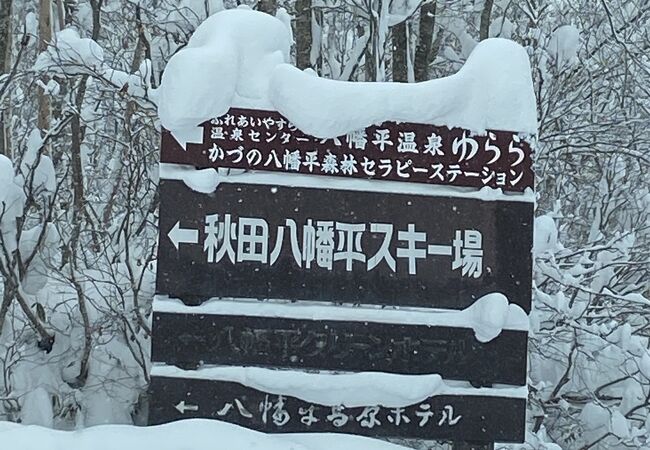 秋田八幡平スキー場