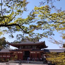 阿字池に映る平等院鳳凰堂～