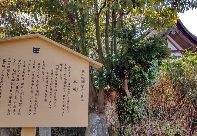 「宇治神社」「宇治上神社」が仲良く並んで～